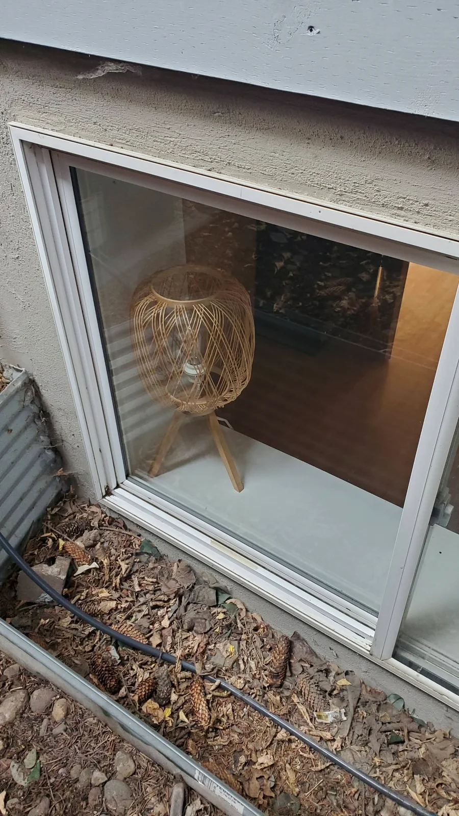 Window after cleaning