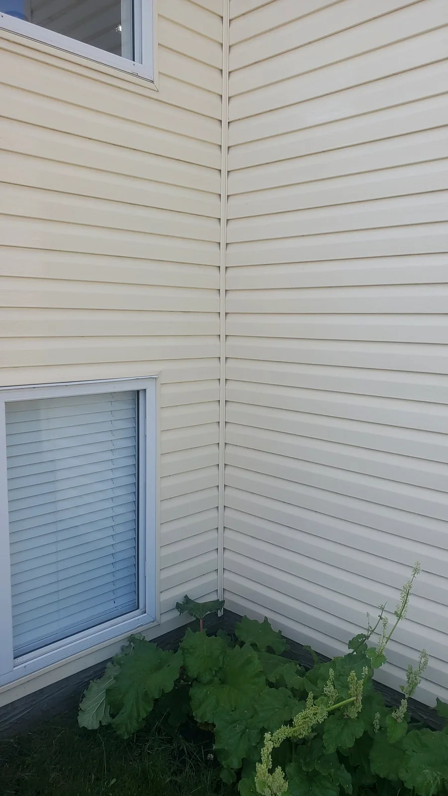 Clean siding after exterior cleaning